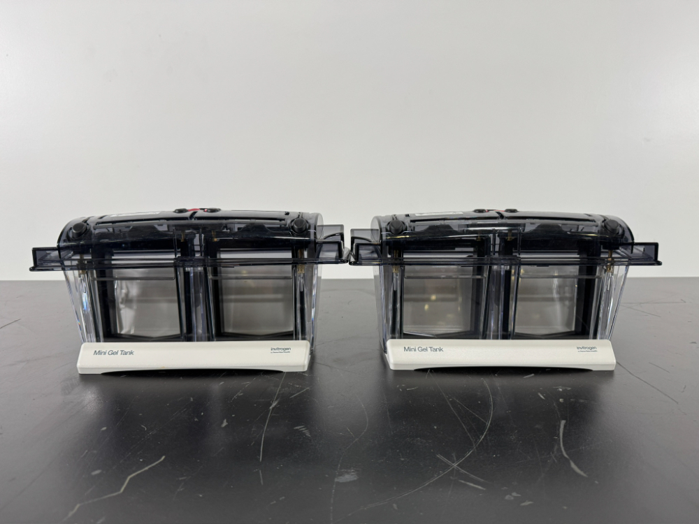 Image of Invitrogen Mini Gel Tanks - Quantity 2